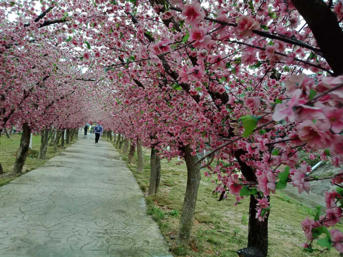 團隊石牛寨出遊